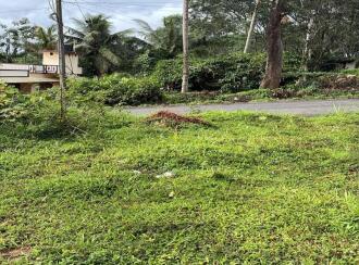 Residential Land for Sale in Wayanad, Meenangadi, Meenangadi, 2 km from Karapuzha Dam, Adventure Park & Garden