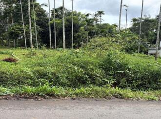 Residential Land for Sale in Wayanad, Meenangadi, Meenangadi, 2 km from Karapuzha Dam, Adventure Park & Garden