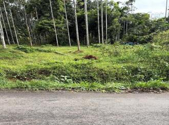 Residential Land for Sale in Wayanad, Meenangadi, Meenangadi, 2 km from Karapuzha Dam, Adventure Park & Garden