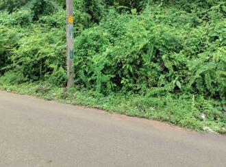 Residential Land for Sale in Pathanamthitta, Kozhencherry, Ayroor, PWD road Cheukolpuzha-Theodickal