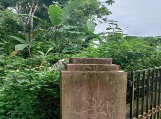 Residential Land for Sale in Pathanamthitta, Kozhencherry, Ayroor, PWD road Cheukolpuzha-Theodickal