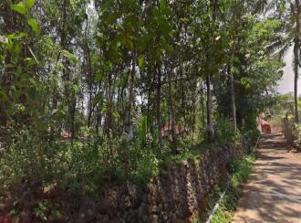 Residential Land for Sale in Kottayam, Kanjirapally, Elamgulam