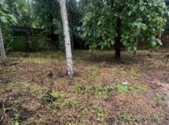 Residential Land for Sale in Kollam, Kottiyam, Thazhuthala, Kannanalloor mylakadu road