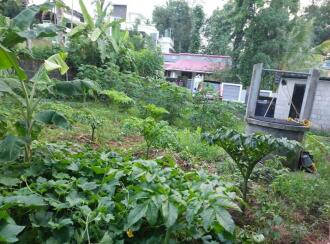 Residential Land for Sale in Pathanamthitta, Adoor, Adoor, Karuvatta