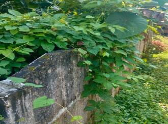 Residential Land for Sale in Thrissur, Thrissur, Tholur
