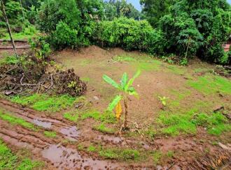 Residential Land for Sale in Pathanamthitta, Adoor, Adoor, Padippura Road