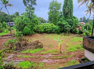 Residential Land for Sale in Pathanamthitta, Adoor, Adoor, Padippura Road