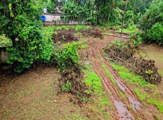 Residential Land for Sale in Pathanamthitta, Adoor, Adoor, Padippura Road