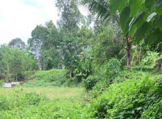 Residential Land for Sale in Pathanamthitta, Thiruvalla, Pullad, Pullad