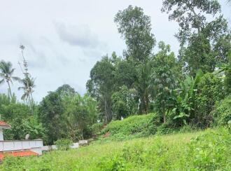 Residential Land for Sale in Pathanamthitta, Thiruvalla, Pullad, Pullad