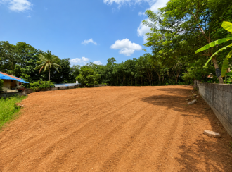 Residential Land for Sale in Trivandrum, Nedumangad, Pulipara, Near Nedumangad Municipality International swimming pool