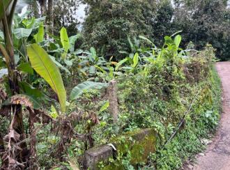 Residential Land for Sale in Ernakulam, Muvattupuzha, Pezhakkappilly