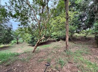 Residential Land for Sale in Ernakulam, Muvattupuzha, Pezhakkappilly