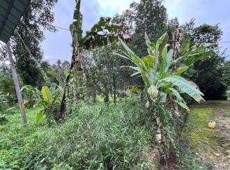 Residential Land for Sale in Ernakulam, Muvattupuzha, Pezhakkappilly