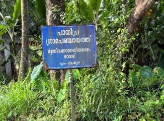 Residential Land for Sale in Ernakulam, Muvattupuzha, Pezhakkappilly