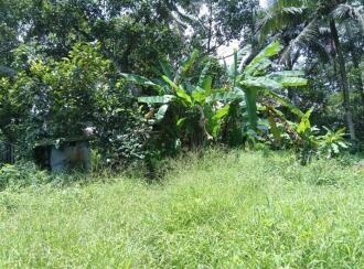 Residential Land for Sale in Alleppey, Cherthala, Ezhupunna