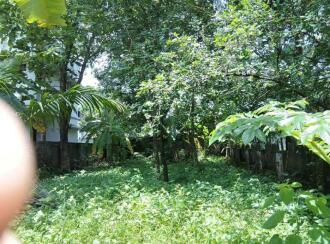 Residential Land for Sale in Alleppey, Cherthala, Ezhupunna
