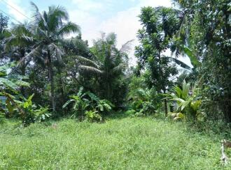 Residential Land for Sale in Alleppey, Cherthala, Ezhupunna