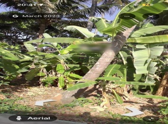 Residential Land for Sale in Kannur, Kannur, Puzhathi, Near AKG housing area