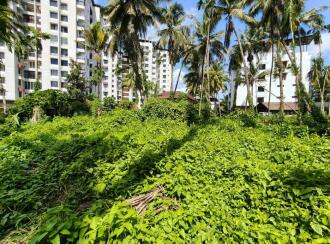 Residential Land for Sale in Ernakulam, Vennala, Vennala, attaniyedath road