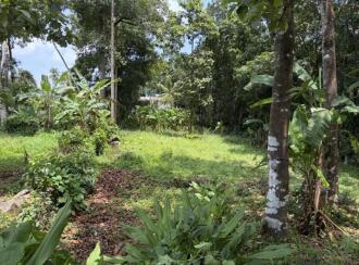 Residential Land for Sale in Kottayam, Ettumanoor, Ettumanoor