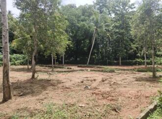 Residential Land for Sale in Trivandrum, Chirayinkeezhu, Kizhuvalam, Irattakkalingu - kunnuvaaram road