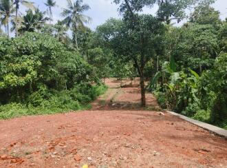 Residential Land for Sale in Trivandrum, Chirayinkeezhu, Kizhuvalam, Irattakkalingu - kunnuvaaram road