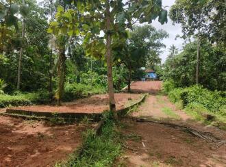 Residential Land for Sale in Trivandrum, Chirayinkeezhu, Kizhuvalam, Irattakkalingu - kunnuvaaram road