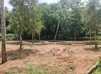 Residential Land for Sale in Trivandrum, Chirayinkeezhu, Kizhuvalam, Irattakkalingu - kunnuvaaram road