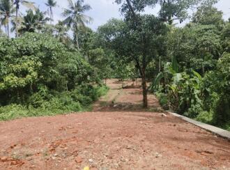 Residential Land for Sale in Trivandrum, Chirayinkeezhu, Kizhuvalam, Irattakkalingu - kunnuvaaram road