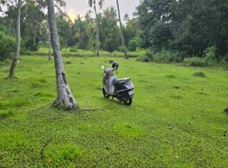Residential Land for Sale in Alleppey, Cherthala, Thiruvizha, Sri krishnapuram road,west of adivaaram today shop ,thiruvizha