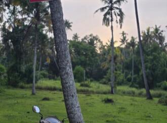 Residential Land for Sale in Alleppey, Cherthala, Thiruvizha, Sri krishnapuram road,west of adivaaram today shop ,thiruvizha