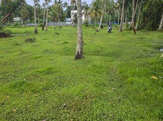 Residential Land for Sale in Alleppey, Cherthala, Thiruvizha, Sri krishnapuram road,west of adivaaram today shop ,thiruvizha