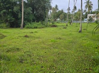 Residential Land for Sale in Alleppey, Cherthala, Thiruvizha, Sri krishnapuram road,west of adivaaram today shop ,thiruvizha