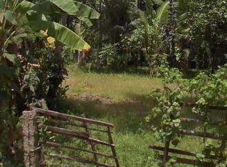 വാസയോഗ്യമായ ഭൂമി വില്പനയ്ക്ക് Alleppey, Kayamkulam, Krishnapuram, kurakav road