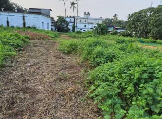 വാസയോഗ്യമായ ഭൂമി വില്പനയ്ക്ക് എറണാകുളം, Kothamangalam, Cheruvattoor, Nellikuzhi Paipra Road