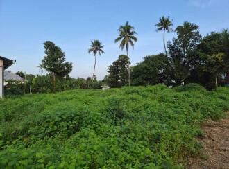 വാസയോഗ്യമായ ഭൂമി വില്പനയ്ക്ക് എറണാകുളം, Kothamangalam, Cheruvattoor, Nellikuzhi Paipra Road