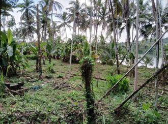 Residential House Villa for Sale in Kannur, Thaliparamba, Thaliparamba, Kuppam - Kuttiyeri Road