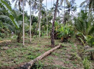 Residential House Villa for Sale in Kannur, Thaliparamba, Thaliparamba, Kuppam - Kuttiyeri Road