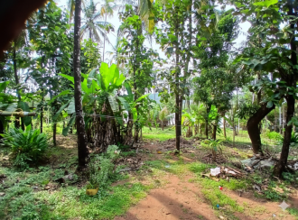Residential House Villa for Sale in Kannur, Thaliparamba, Thaliparamba, Kuppam - Kuttiyeri Road
