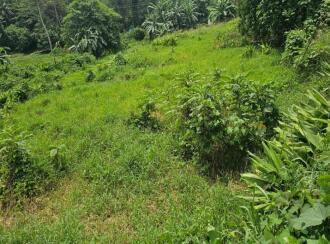Residential Land for Sale in Kottayam, Kottayam town, Puthuppally, Between Kanhukuzhy bridge and village office