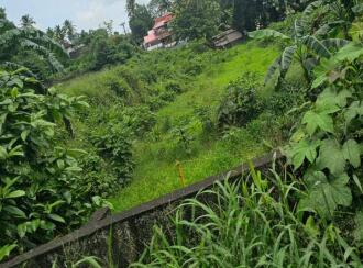 Residential Land for Sale in Kottayam, Kottayam town, Puthuppally, Between Kanhukuzhy bridge and village office