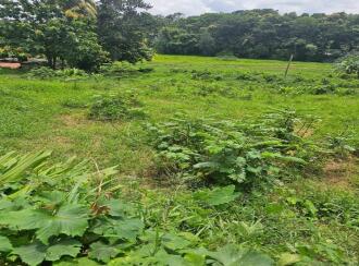 Residential Land for Sale in Kottayam, Kottayam town, Puthuppally, Between Kanhukuzhy bridge and village office