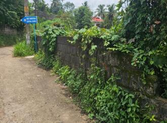 Residential Land for Sale in Kottayam, Kottayam town, Puthuppally, Between Kanhukuzhy bridge and village office