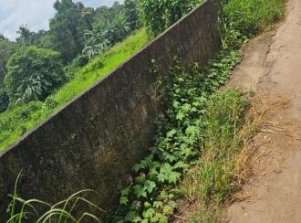 Residential Land for Sale in Kottayam, Kottayam town, Puthuppally, Between Kanhukuzhy bridge and village office
