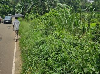 Residential Land for Sale in Kottayam, Kottayam town, Puthuppally, Between Kanhukuzhy bridge and village office