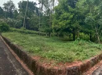 Residential Land for SaleErnakulam, Angamaly, Elavoor