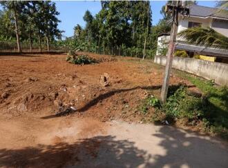 Residential Land for Sale in Pathanamthitta, Pathanamthitta, Pathanamthitta, Angadical North Sastha Temple, Kodumon, Pathanamthitta