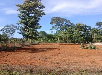 Residential Land for Sale in Pathanamthitta, Pathanamthitta, Pathanamthitta, Angadical North Sastha Temple, Kodumon, Pathanamthitta