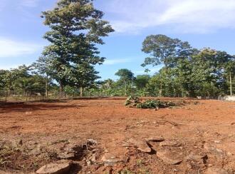 Residential Land for Sale in Pathanamthitta, Pathanamthitta, Pathanamthitta, Angadical North Sastha Temple, Kodumon, Pathanamthitta